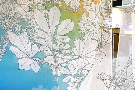 カーテン　トチノキ