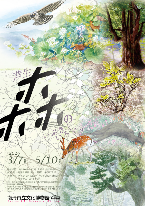 芦生森の息吹と彩り